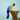 Papagal Macaw albastru